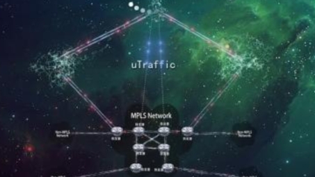 MPLS L2 VPN技术深度解析与实战应用