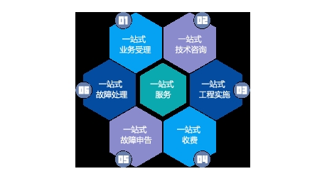 鹏博士VPN，护航网络安全，解锁全球网络自由之旅