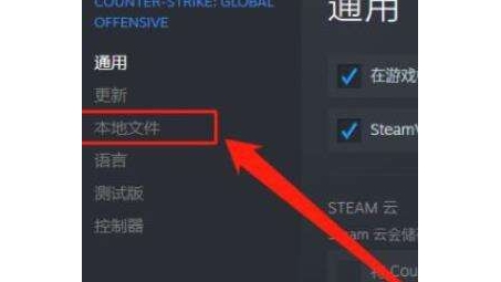 纯净畅玩CSGO，告别VPN，解锁无障碍网络新篇章