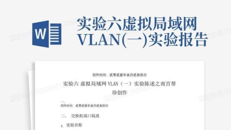 VPN技术在网络安全实验中的应用与分析报告