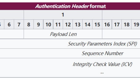 IPsec VPN协议解析，保障数据安全与传输效率的奥秘