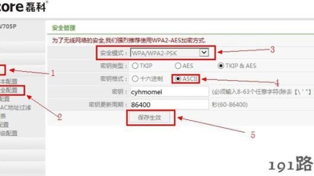 磊科VPN轻松配置指南，加速网络同时保障安全