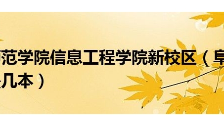 阜阳师范学院VPN，开启智慧校园云端之旅