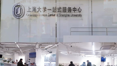 上海大学VPN服务，助力学术研究高效便捷的新工具