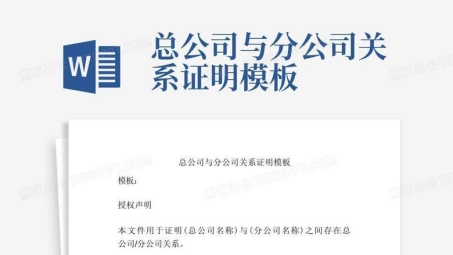 构建跨地域协同办公的VPN解决方案，总公司与分公司高效联动体系