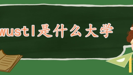 WUSTL VPN深度解析，全球学子网络安全新选择