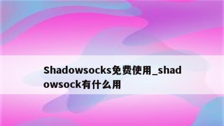 网络加密技术对比，Shadowsocks与VPN的选择指南