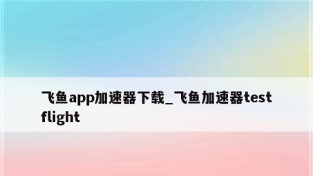 飞鱼VPN，高速安全，性价比优的VPN服务评测