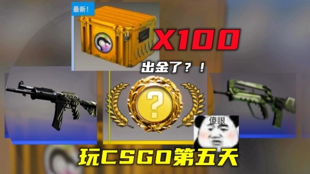 CS:GO玩家必看，深度解析VPN在网络加速与安全防护中的重要性