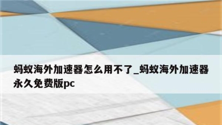 轻松畅游全球网络，蚂蚁VPN注册指南大揭秘！