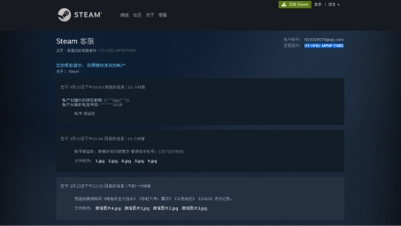 畅游Steam，无VPN限制游戏新纪元