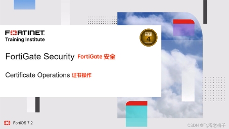 Fortigate SSL VPN，引领远程接入安全高效新潮流