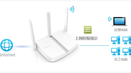 MW313R VPN，解锁全球网络，畅游无界