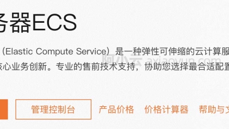 企业级云服务器高效远程连接利器，ECS VPN解决方案