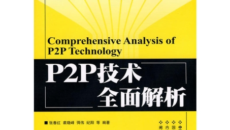 P2P VPN深度解读，优势、选择与使用指南