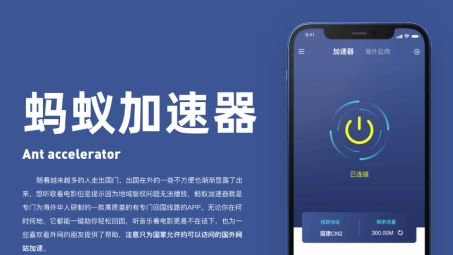 蚂蚁加速VPN，网络加速与安全守护专家