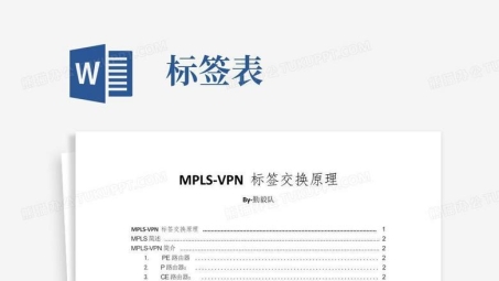 MPLS VPN技术在网络技术领域的应用与用途解析