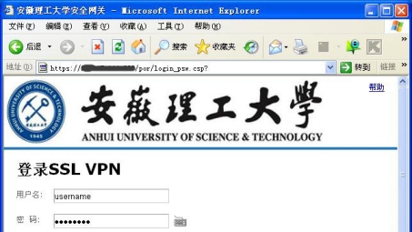 安徽大学VPN，畅游学术海洋，筑牢网络安全防线