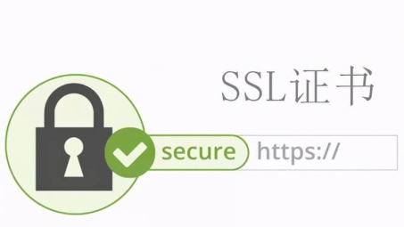 SSL VPN CA证书下载指南，确保远程网络安全接入的必读教程