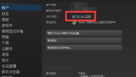 VPN与Vac冲突揭秘，Steam玩家封禁事件解析