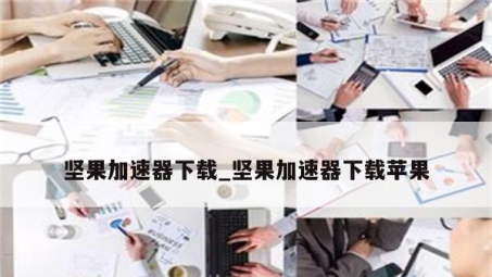 坚果VPN官方版下载攻略，网络自由行安全护航