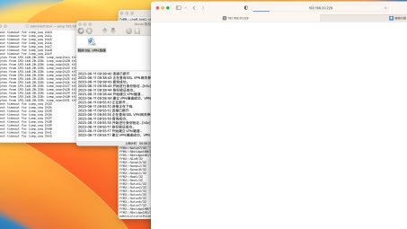 SSL VPN登录页无法打开，原因排查与修复策略