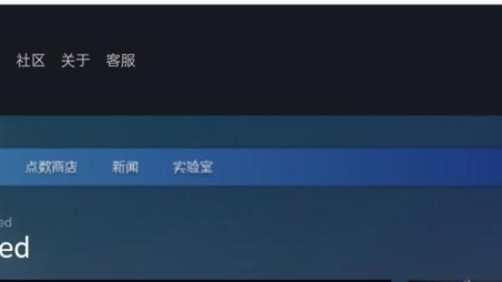 Steam方舟游戏畅玩攻略，揭秘VPN使用背后的真相及配置教程