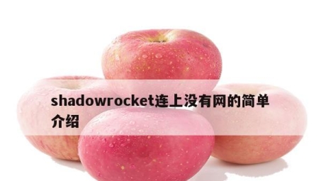 ShadowsRocket VPN，解锁无限自由的网络加速神器