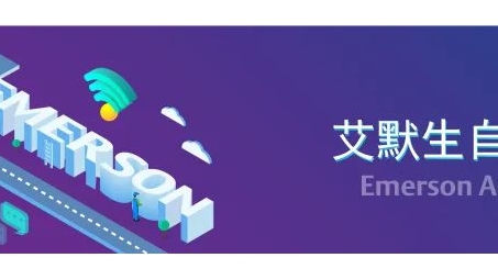 艾默生VPN，企业级高效稳定远程连接首选方案