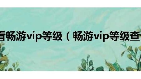 畅游无忧，海豚VPN会员尊享特权