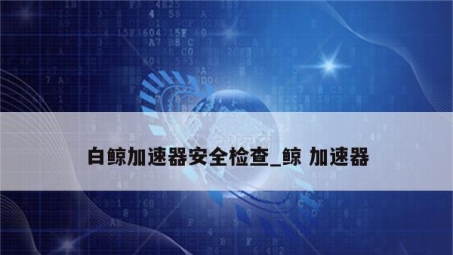 鲸VPN，畅享安全网络，无忧畅游新境界