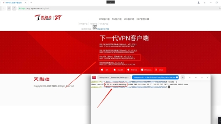 Topsec SSL VPN，企业级远程安全接入首选方案