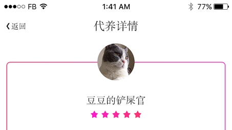 萌宠护航，猫猫战车VPN，安全畅游网络世界