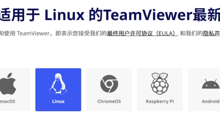 Ubuntu系统下TeamViewer VPN配置及操作手册