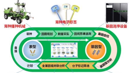 铁通VPN800创新解析，引领我国电信行业新突破