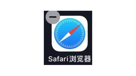 Safari SSL VPN快速上手，安全远程访问无忧