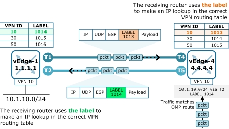 Mastering VPNs: Your Ultimate English Guide to Secure Online Browsing