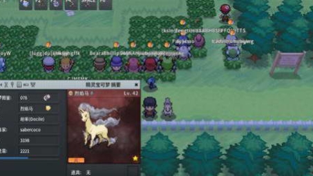 Pokémon MMO全球畅游之谜，VPN网络背后的秘密解析