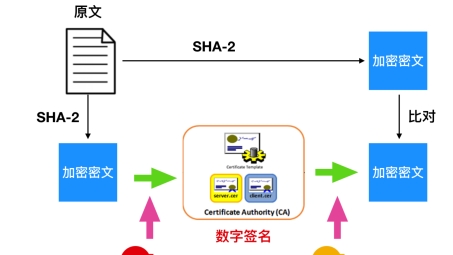 SSL加密技术在VPN中的应用与安全防护揭秘