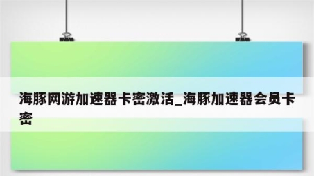 海豚VPN，多人共享，解锁网络自由新体验