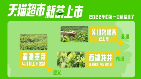 天猫VPN赋能，电商企业全球市场畅游，解锁无限商机