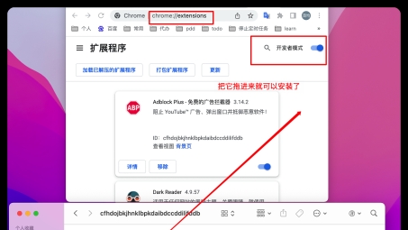 开启VPN，轻松解锁Adblock广告拦截使用新境界