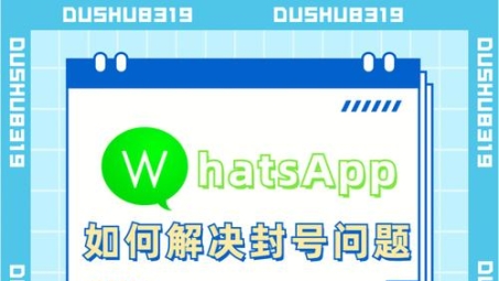 WhatsApp VPN使用全解析，揭秘功能与潜在风险