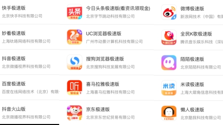 App Store新宠，极速VPN引领安全便捷网络体验