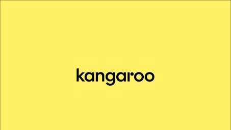 Kangaroo VPN权限解析，解锁网络自由新体验