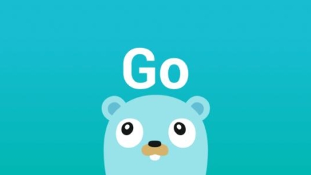 轻量级Golang VPN，高效网络连接新选择