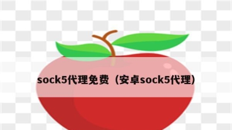 sock5技术在VPN领域的应用，开启高效安全网络新纪元