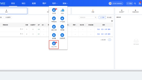 Easy VPN收费分析，性价比评估与额外开销解析