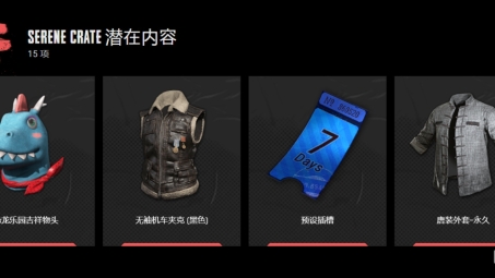 畅游PUBG欧服，体验升级！专业VPN助你畅快竞技