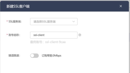 揭秘Cisco 1921 SSL VPN，功能解析与配置优化指南